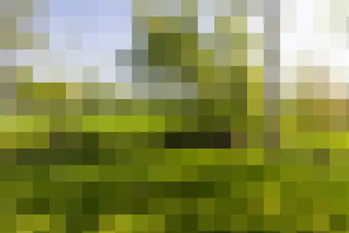 Klein Moorst 14 Woudenberg thumbnail 44