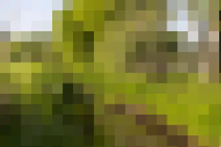 Klein Moorst 14 Woudenberg thumbnail 46