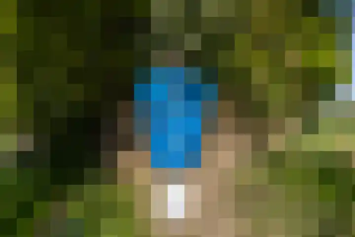 Klein Moorst 14 Woudenberg thumbnail 47