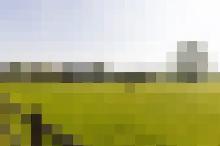 Klein Moorst 14 Woudenberg thumbnail 48