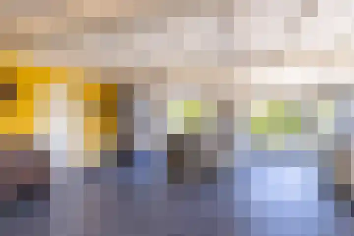 Klein Moorst 14 Woudenberg thumbnail 5