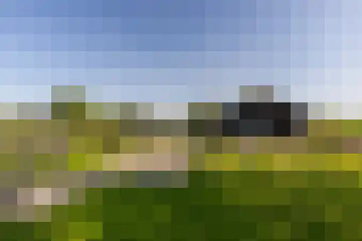 Klein Moorst 14 Woudenberg thumbnail 56