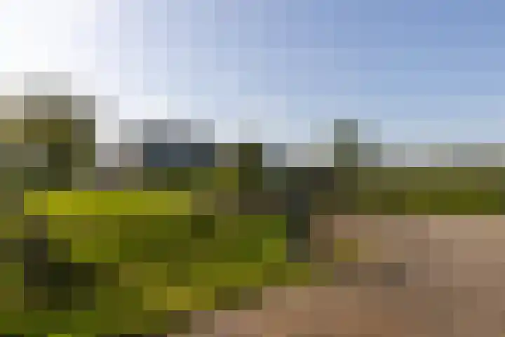 Klein Moorst 14 Woudenberg thumbnail 60