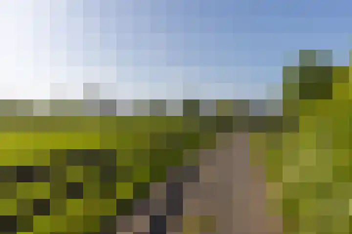 Klein Moorst 14 Woudenberg thumbnail 62