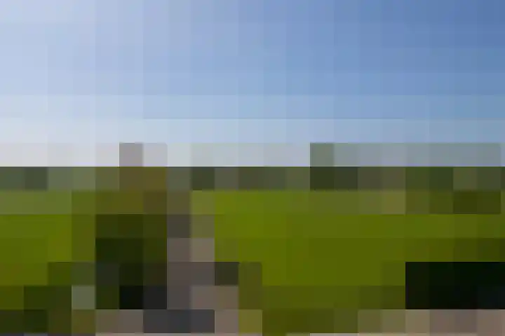 Klein Moorst 14 Woudenberg thumbnail 63