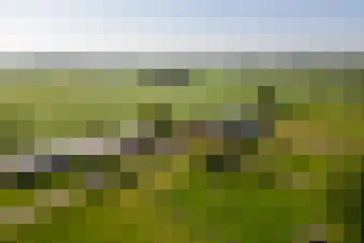 Klein Moorst 14 Woudenberg thumbnail 64
