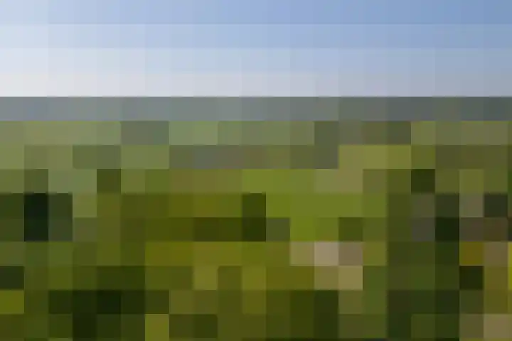 Klein Moorst 14 Woudenberg thumbnail 65
