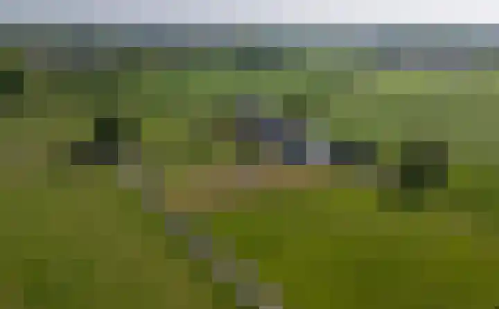 Klein Moorst 14 Woudenberg thumbnail 73