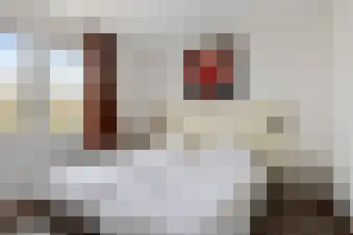 Klein Vink 4 2327 Arcen thumbnail 11