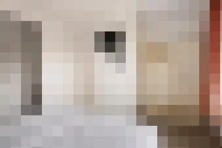 Klein Vink 4 2327 Arcen thumbnail 13