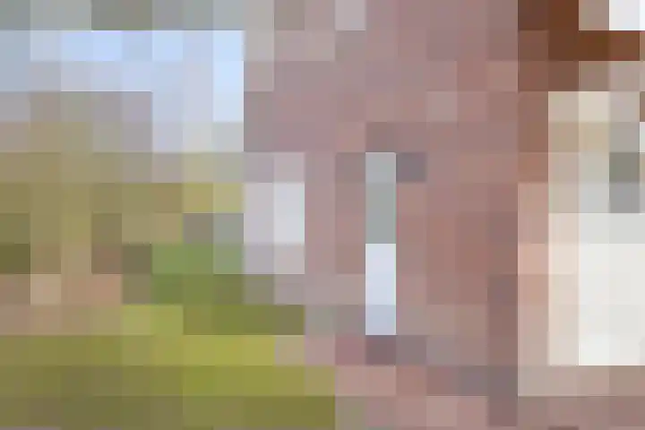 Klein Vink 4 2327 Arcen thumbnail 26
