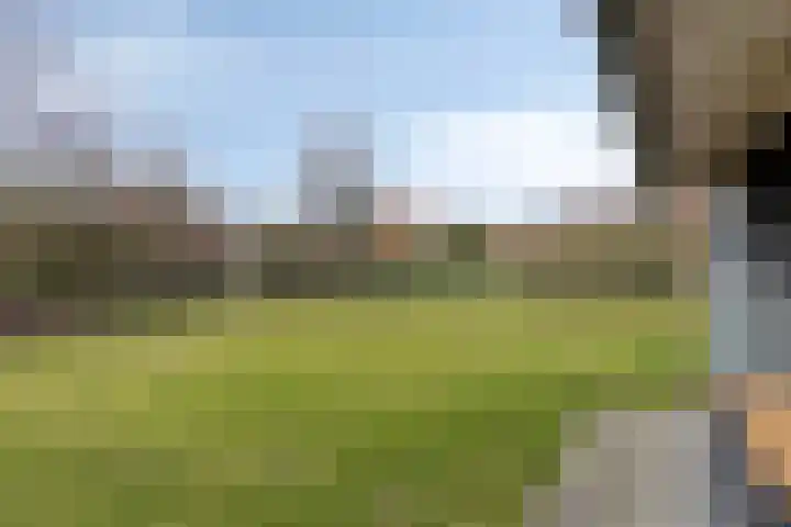 Klein Vink 4 2333 Arcen thumbnail 22