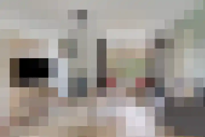 Klein Vink 4 2333 Arcen thumbnail 4