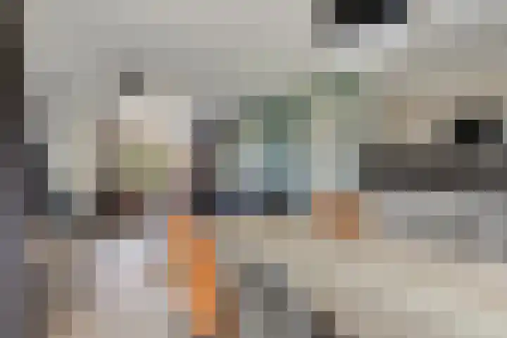 Klein Vink 4 2333 Arcen thumbnail 5