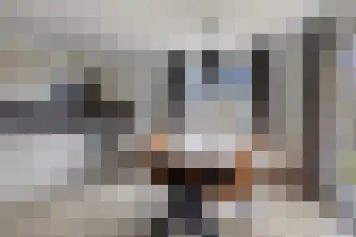 Klein Vink 4 2333 Arcen thumbnail 7