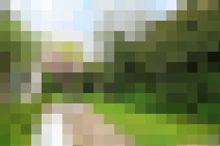 Klein Vlieland 5 Pijnacker thumbnail 33