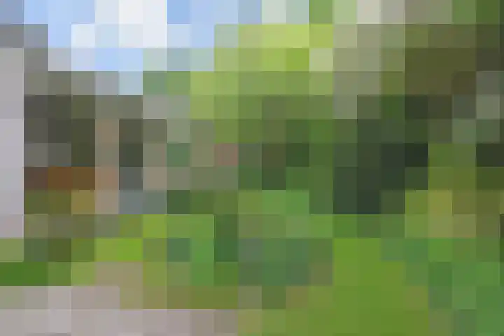Klein Vlieland 5 Pijnacker thumbnail 37
