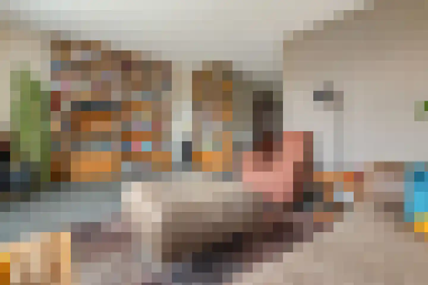 Kleine Beld 3 Olst thumbnail 11