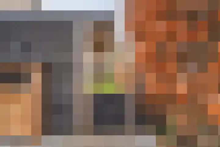 Kleine Beld 3 Olst thumbnail 16