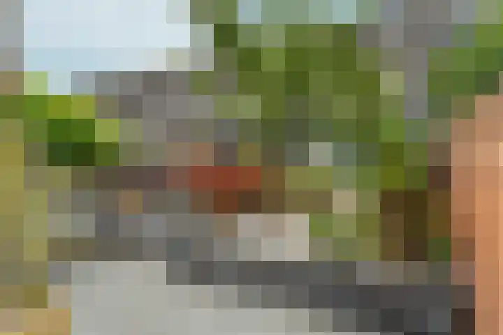 Kleine Beld 3 Olst thumbnail 21