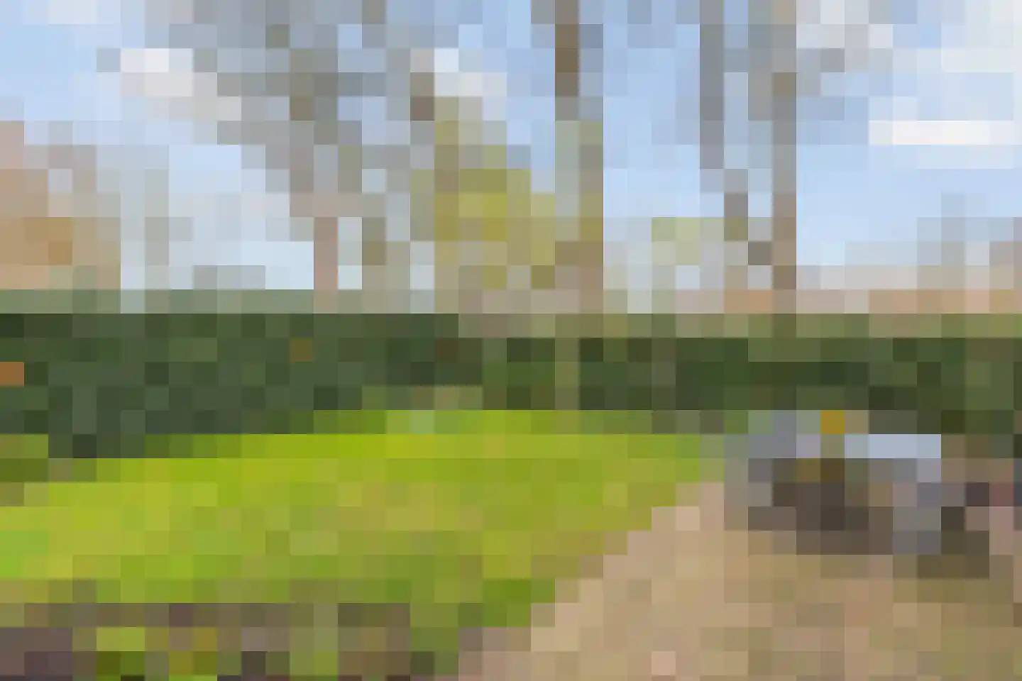 Kleine Beld 3 Olst foto 3