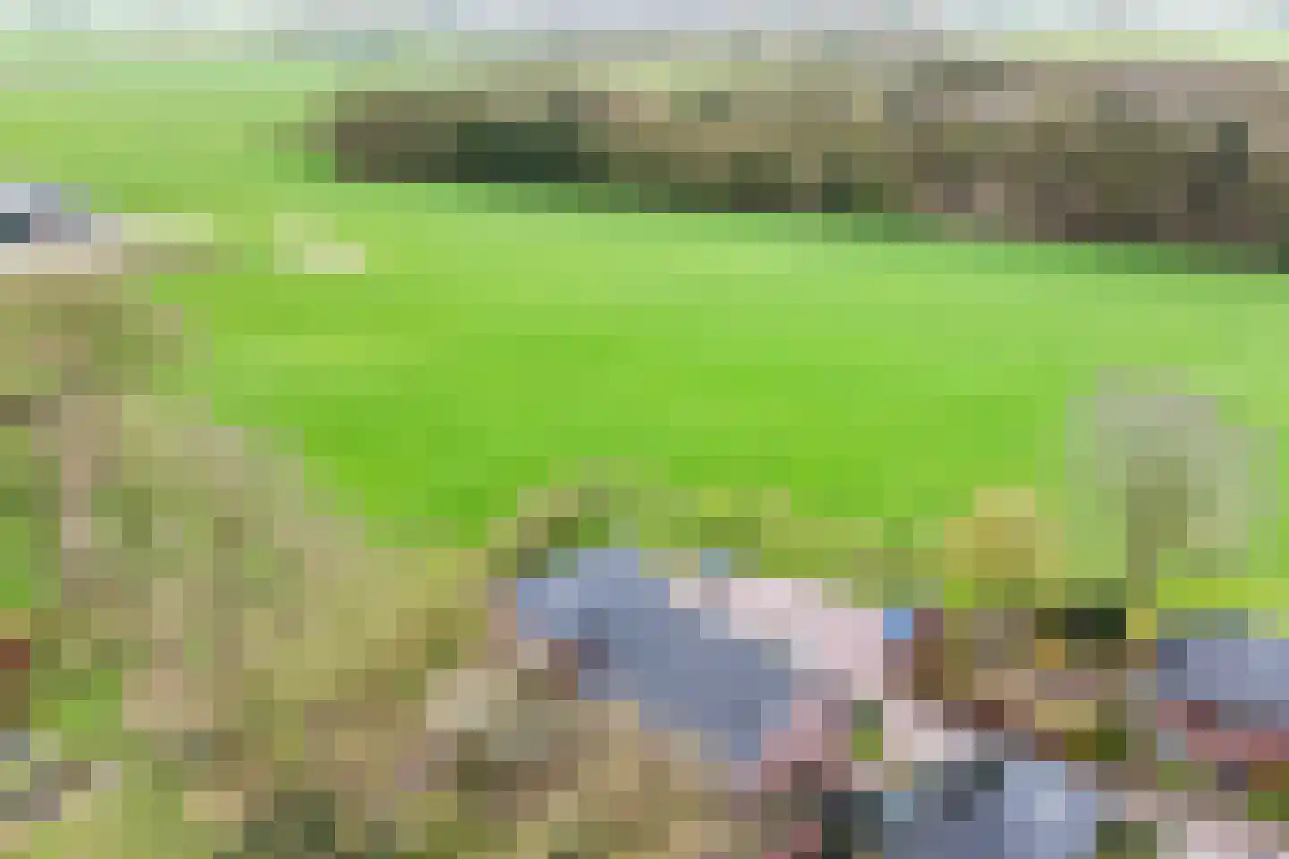 Kleine Beld 3 Olst thumbnail 45