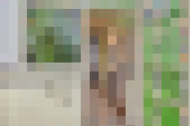 Kleine Beld 3 Olst thumbnail 46