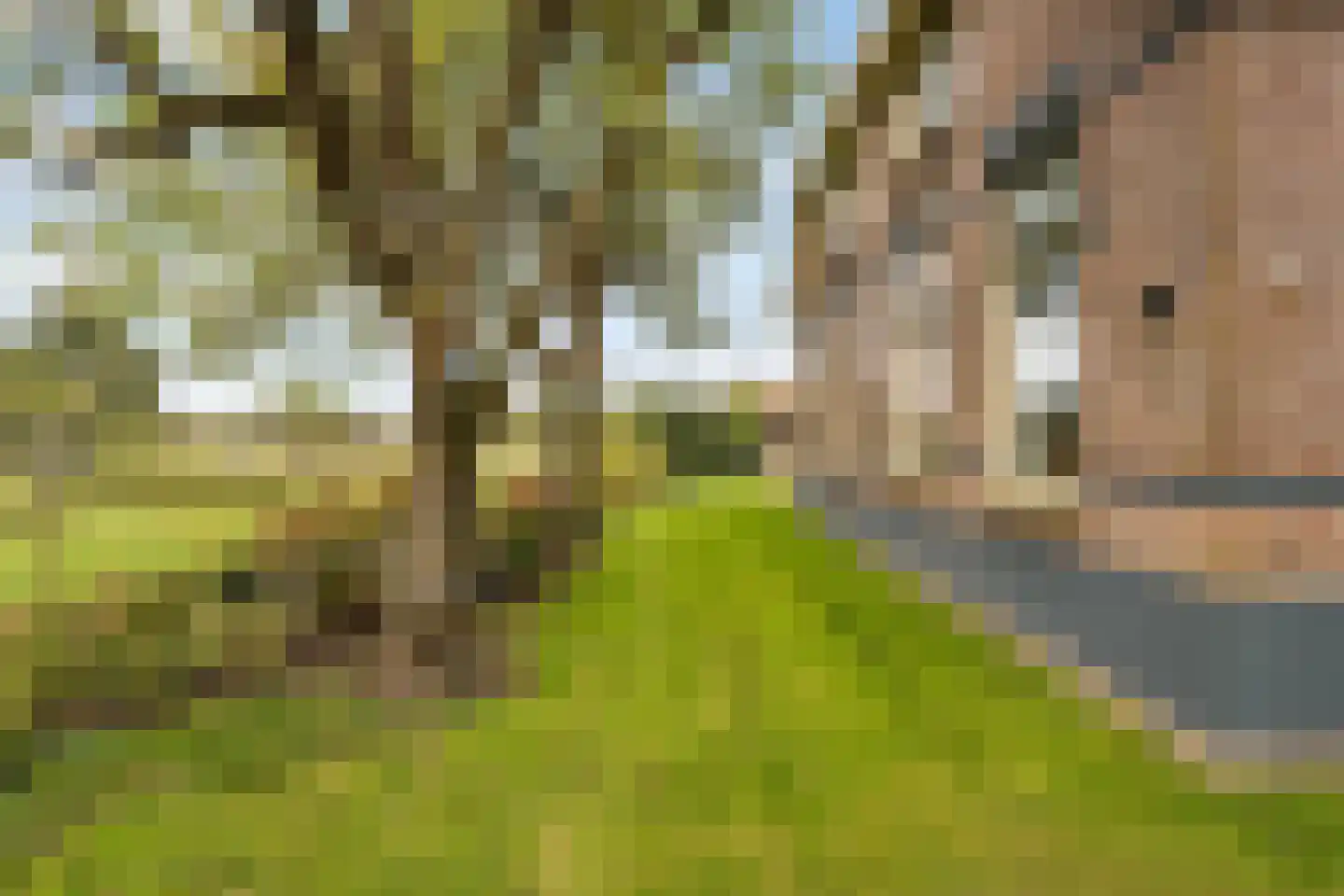 Kleine Esweg 7 Ansen thumbnail 10