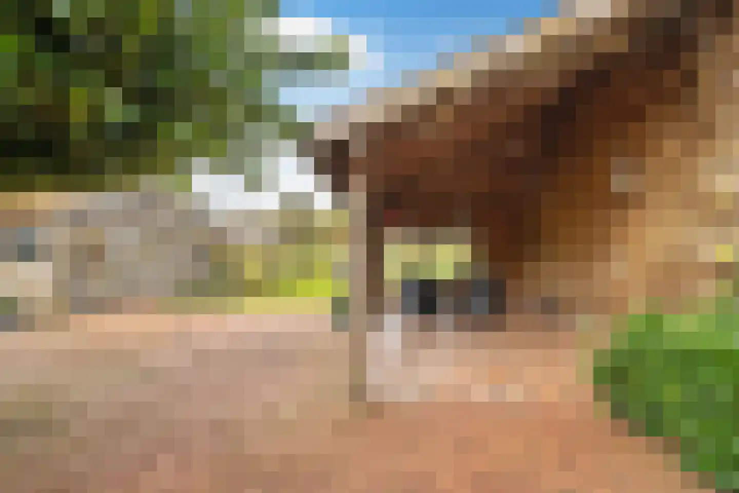 Kleine Esweg 7 Ansen thumbnail 18