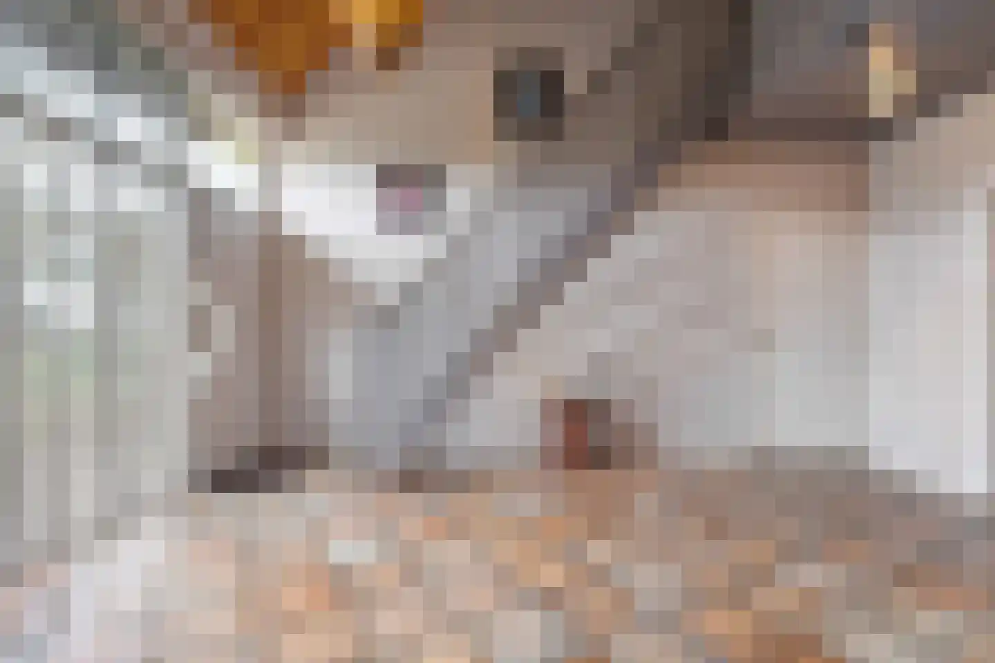 Kleine Esweg 7 Ansen thumbnail 25
