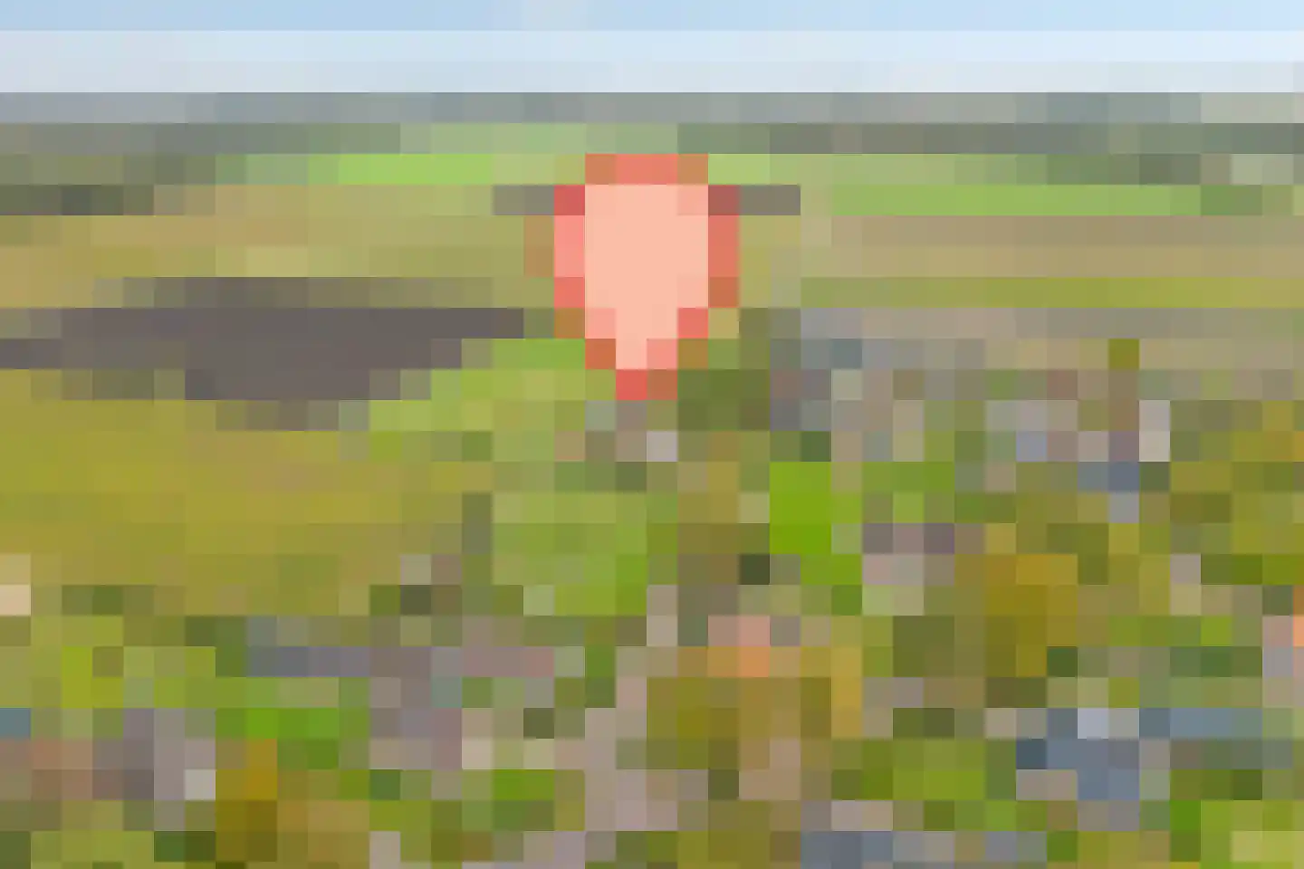 Kleine Esweg 7 Ansen thumbnail 4