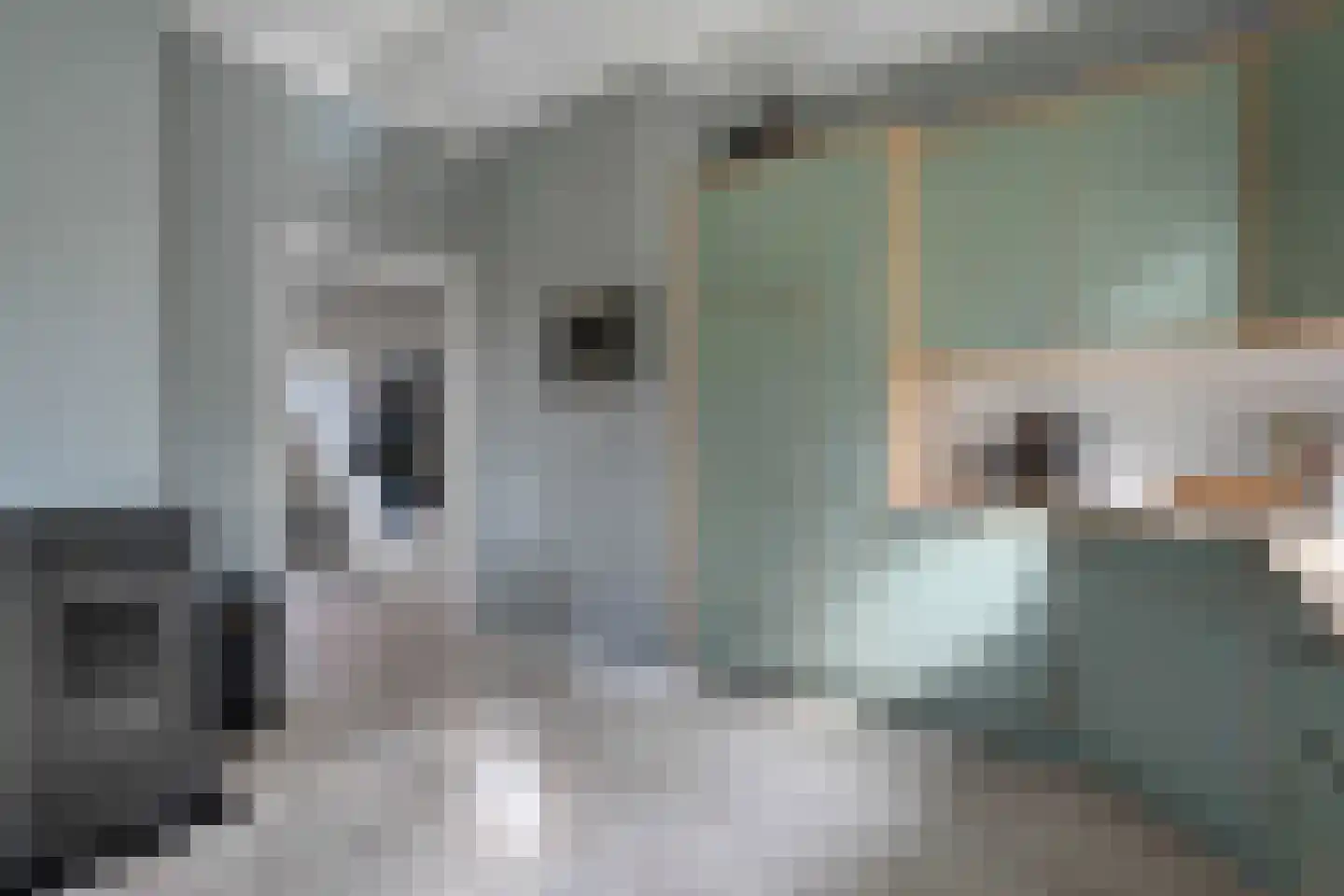 Kleine Esweg 7 Ansen thumbnail 50