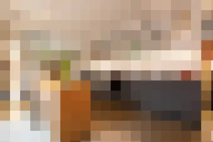 Kleine Gent 9 Vught thumbnail 36