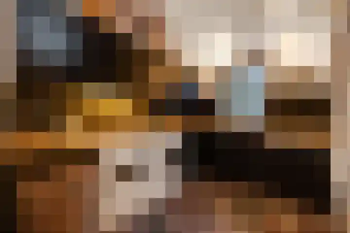 Kleine Gent 9 Vught thumbnail 41