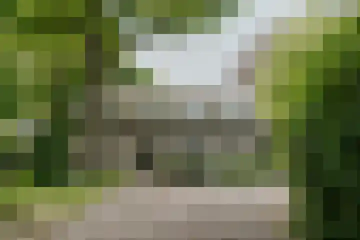 Kleine Gent 9 Vught thumbnail 5