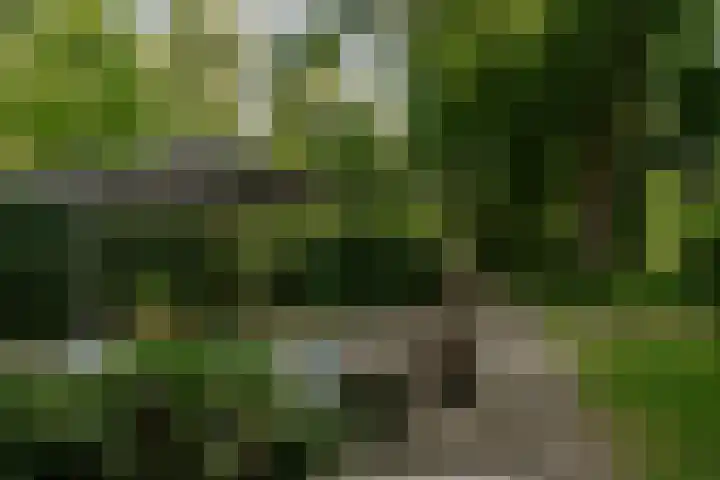 Kleine Gent 9 Vught thumbnail 7
