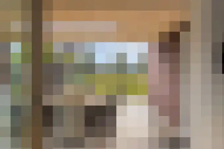Kleine Hassel 11 Lage Mierde thumbnail 14