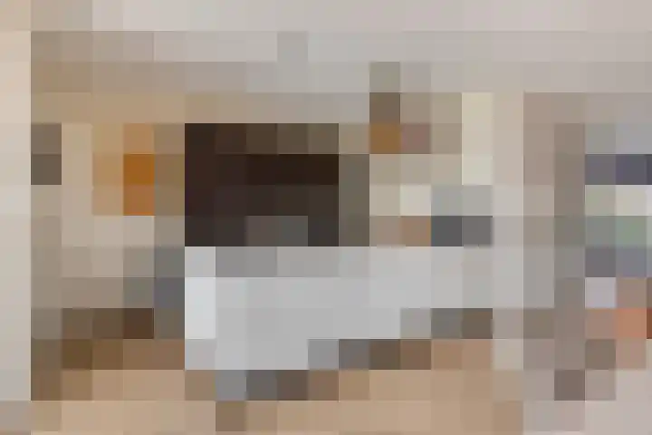 Kleine Hassel 11 Lage Mierde thumbnail 15