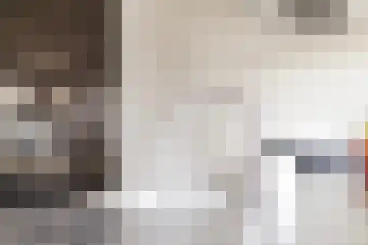 Kleine Hassel 11 Lage Mierde thumbnail 17