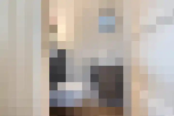 Kleine Hassel 11 Lage Mierde thumbnail 18