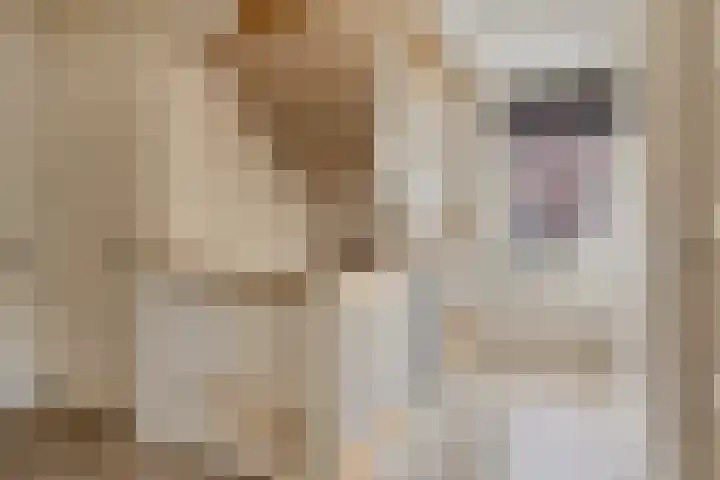 Kleine Hassel 11 Lage Mierde thumbnail 22