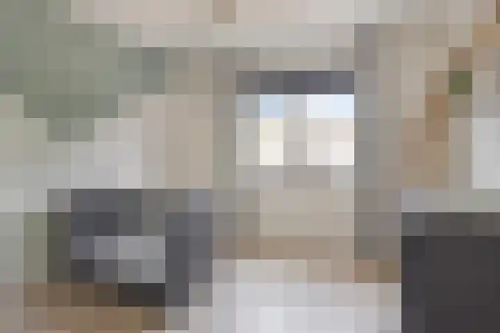 Kleine Hassel 11 Lage Mierde thumbnail 29