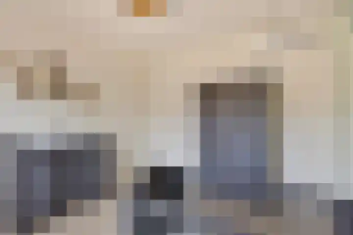 Kleine Hassel 11 Lage Mierde thumbnail 30