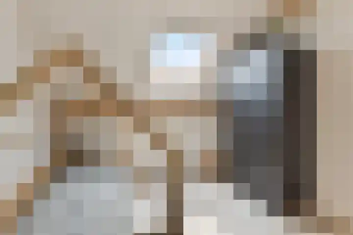 Kleine Hassel 11 Lage Mierde thumbnail 36