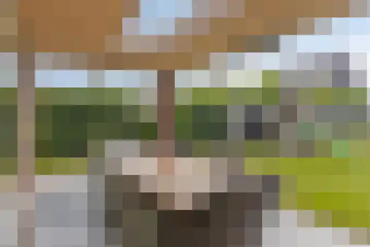 Kleine Hassel 11 Lage Mierde thumbnail 43