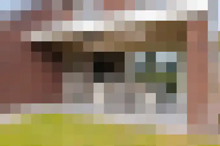 Kleine Hassel 11 Lage Mierde thumbnail 44