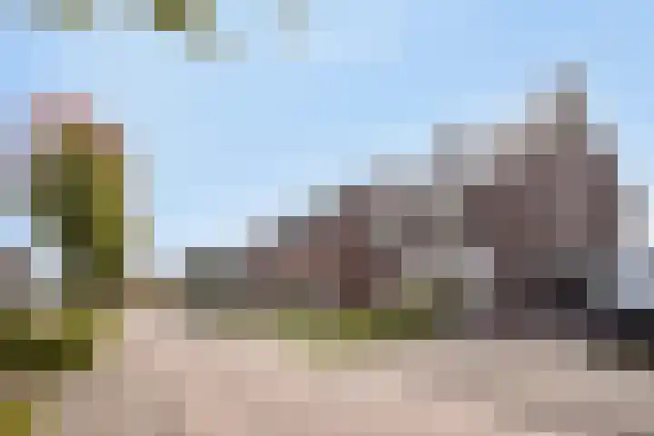 Kleine Hassel 11 Lage Mierde thumbnail 49