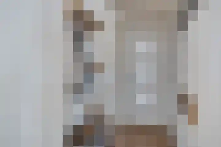 Kleine Hassel 11 Lage Mierde thumbnail 5