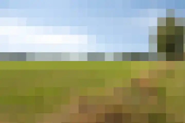 Kleine Hassel 11 Lage Mierde thumbnail 50