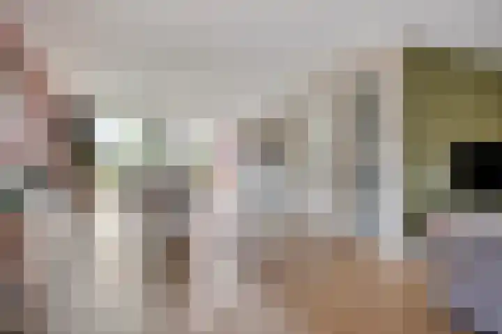 Kleine Hassel 11 Lage Mierde thumbnail 6